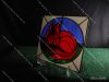 Picture of Napping Red Rose Fox